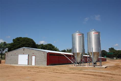 silo feed storage boxes